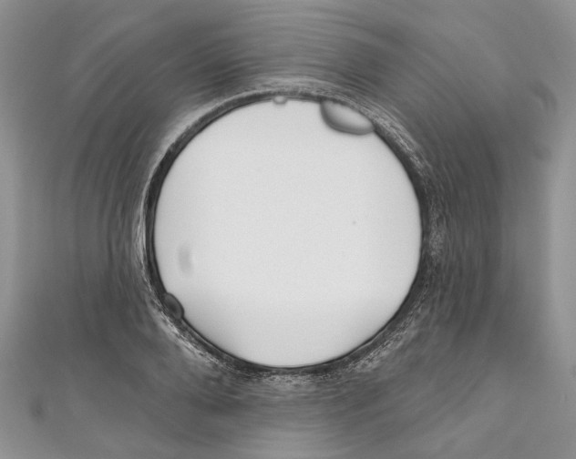 X0000111000888200907171811