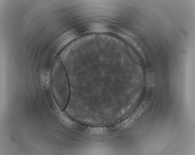 X0000111000889200907171811