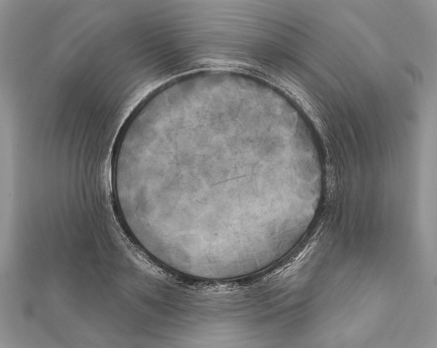 X0000111000891200907171811