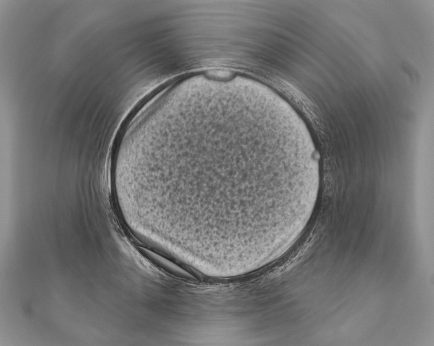 X0000111000892200907171811