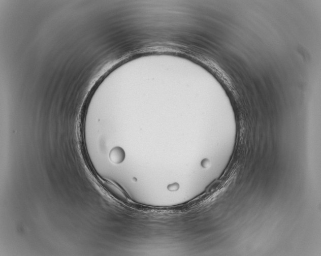 X0000111000893200907171811