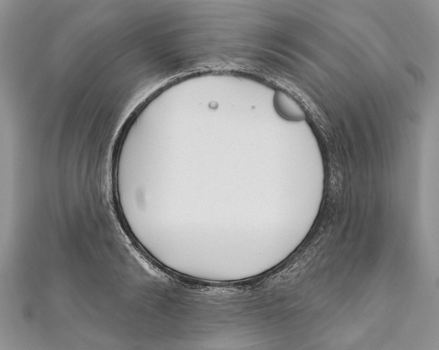 X0000111000894200907171811