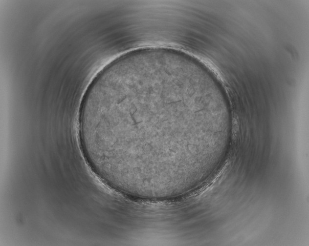 X0000111000895200907171811