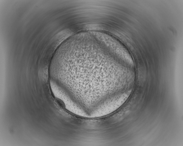 X0000111000897200907171811