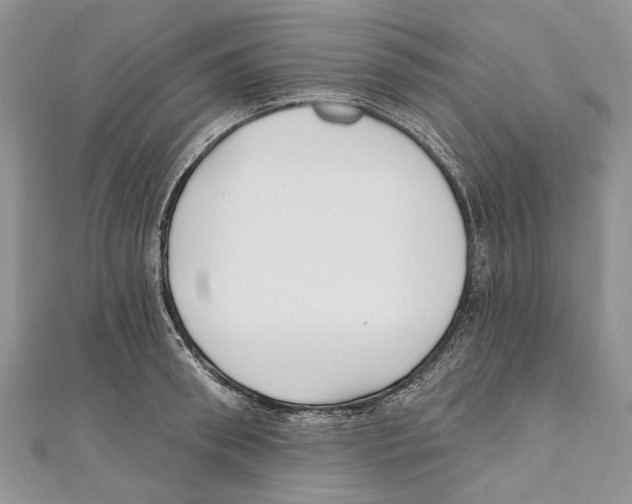 X0000111000898200907171811