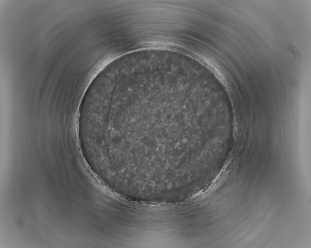 X0000111000899200907171811