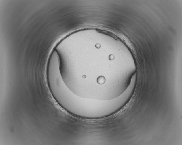 X0000111000904200907171811