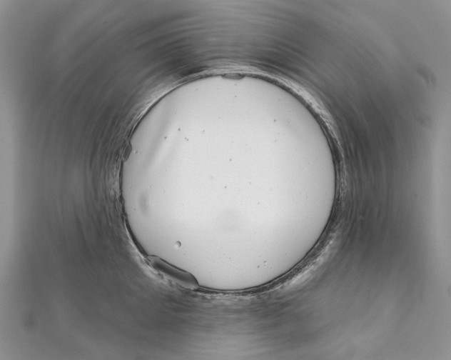 X0000111000905200907171811