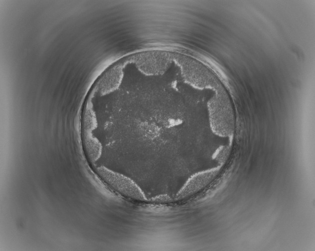 X0000111000907200907171811