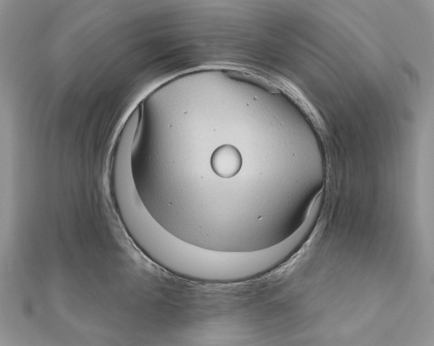 X0000111000908200907171810