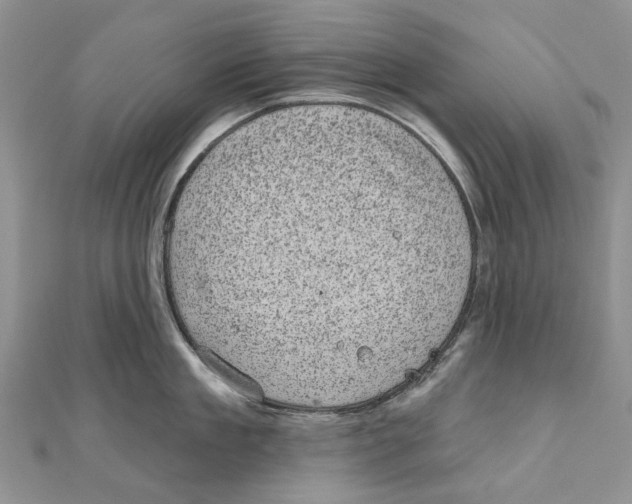 X0000111000909200907171810