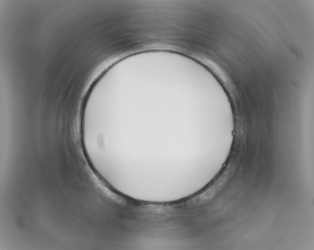 X0000111000910200907171810