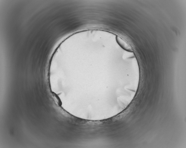 X0000111000912200907171810