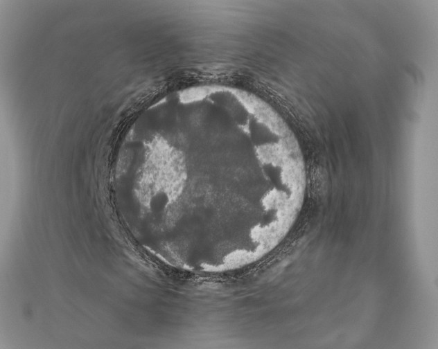 X0000111000913200907171810