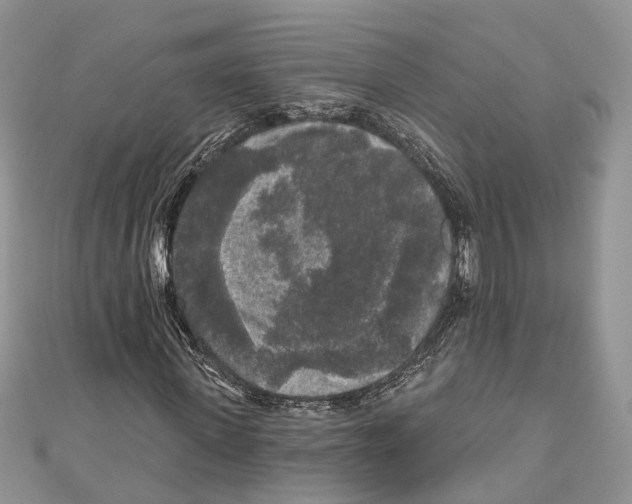 X0000111000915200907171810