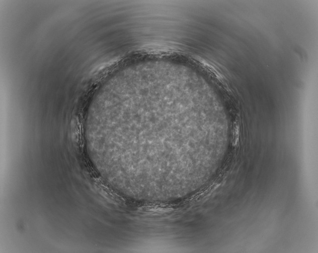 X0000111000917200907171810