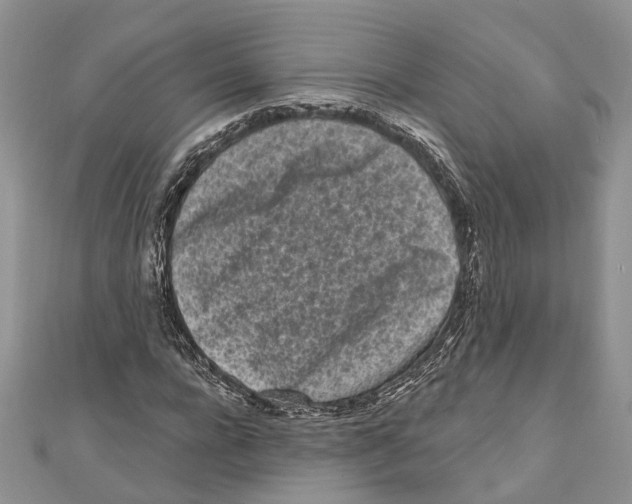 X0000111000920200907171810