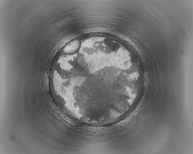 X0000111000921200907171810