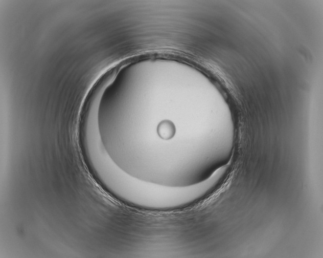 X0000111000924200907171810