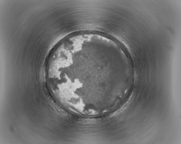 X0000111000925200907171810