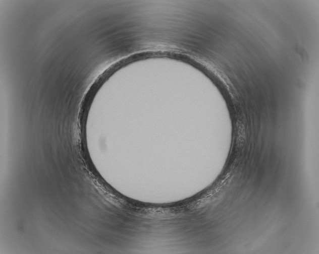 X0000111000927200907171810