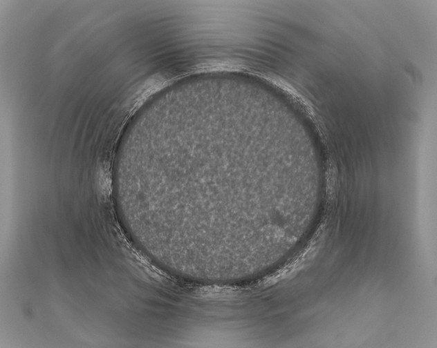 X0000111000929200907171810