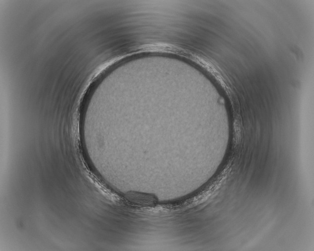 X0000111000931200907171810