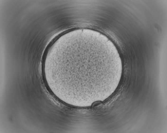 X0000111000932200907171810