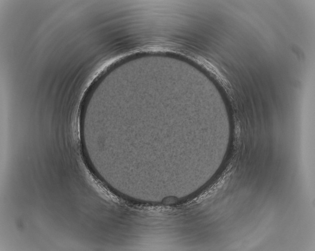 X0000111000934200907171810