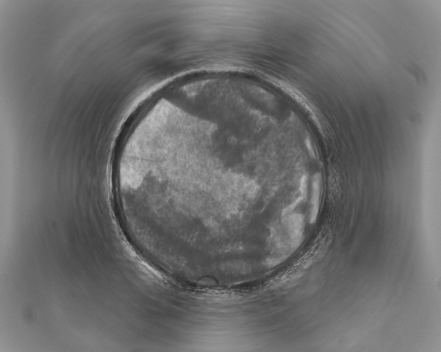 X0000111000935200907171810