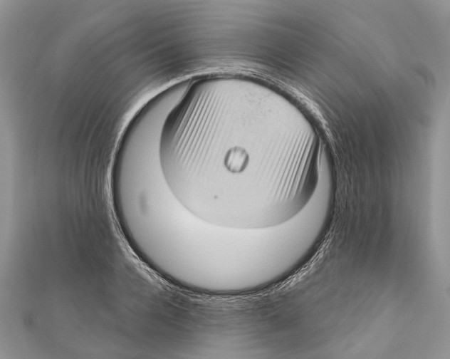 X0000111000936200907171810