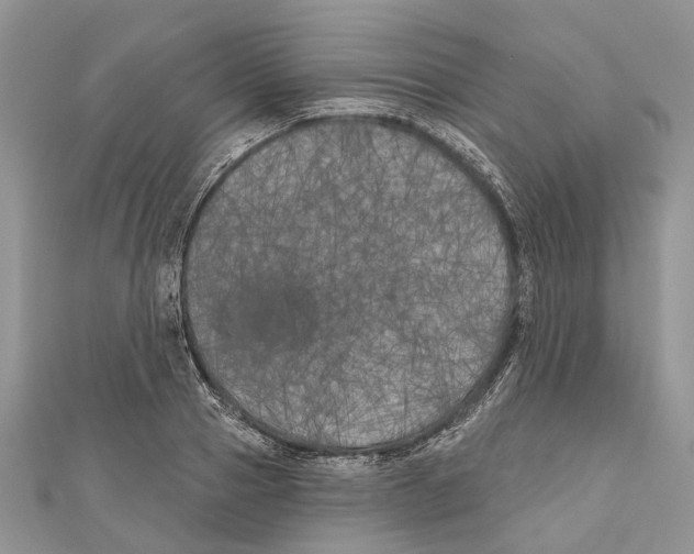 X0000111000937200907171810