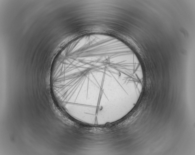 X0000111000938200907171810