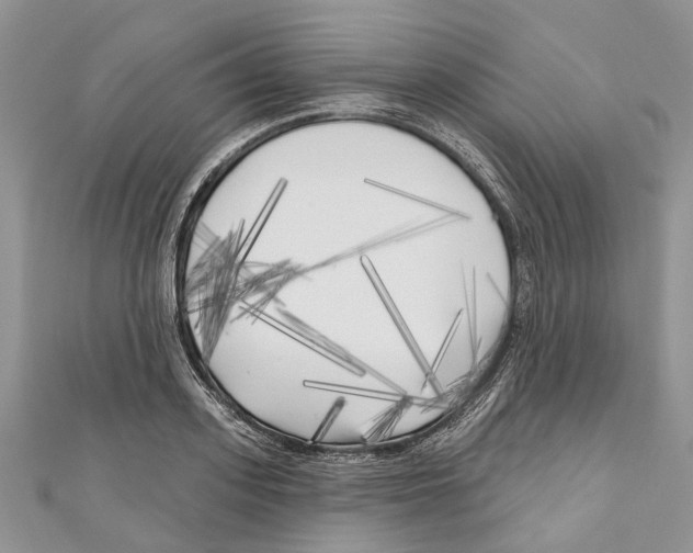 X0000111000939200907171810