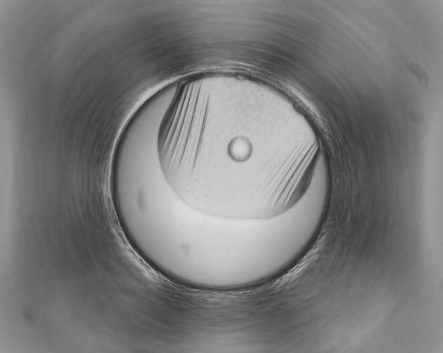 X0000111000940200907171810