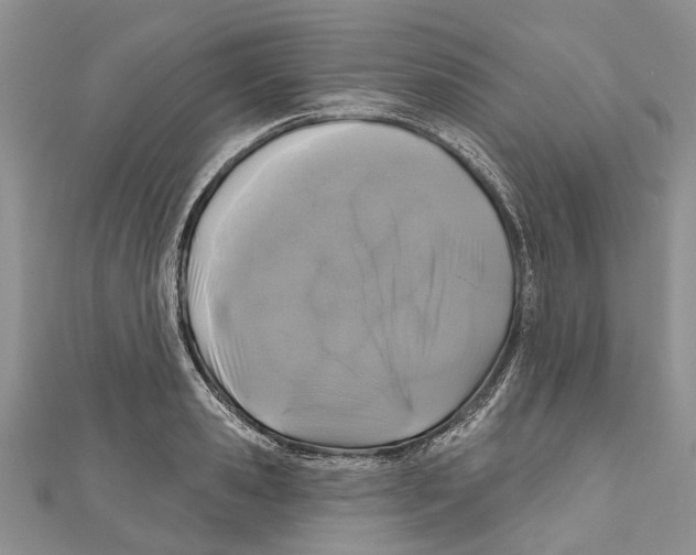 X0000111000941200907171810