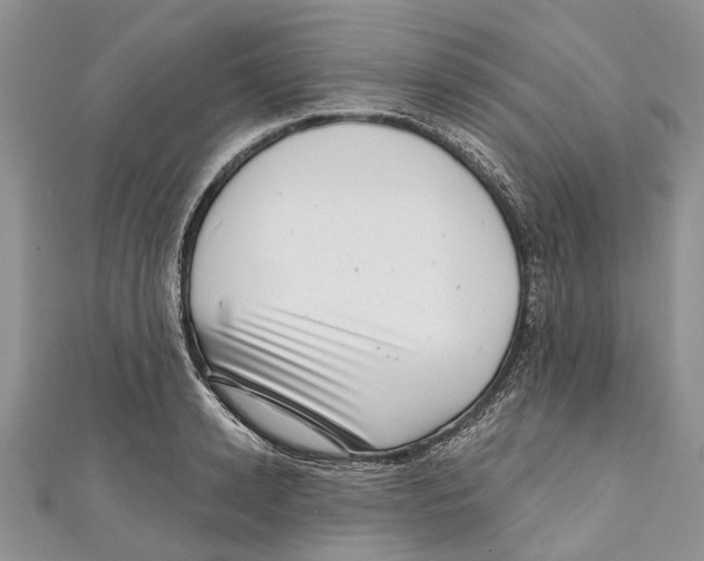 X0000111000942200907171810