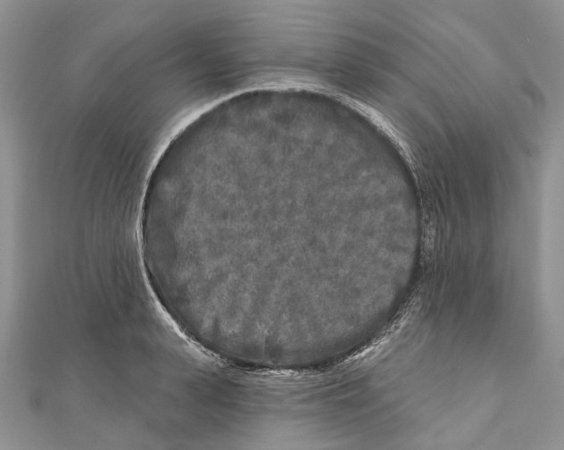 X0000111000943200907171810