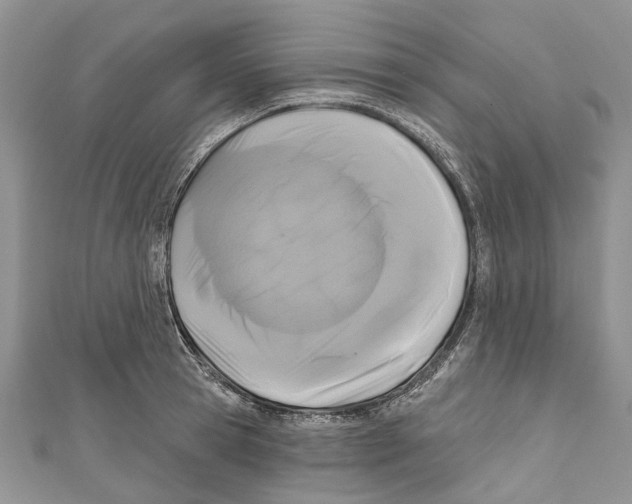 X0000111000945200907171810