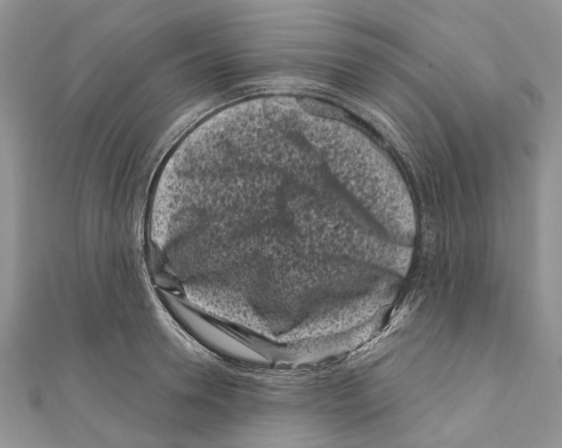 X0000111000946200907171810