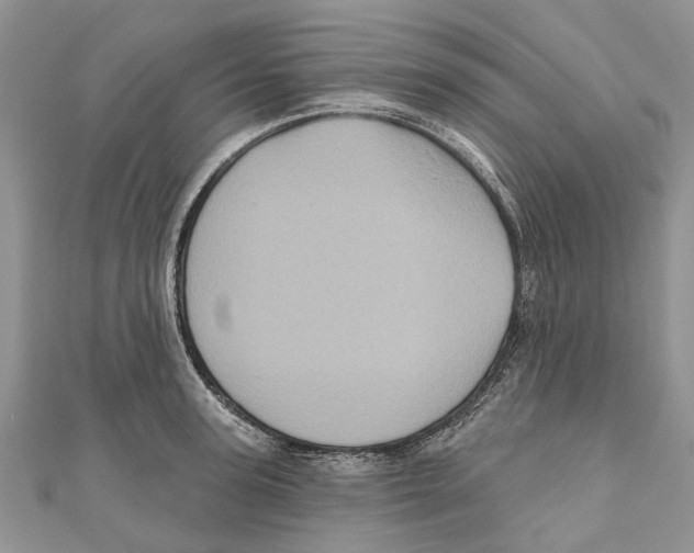 X0000111000947200907171810