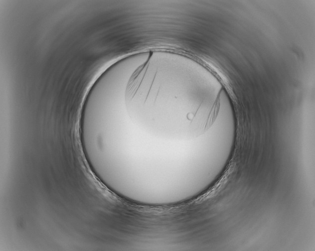 X0000111000948200907171810