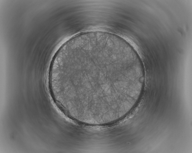 X0000111000949200907171810