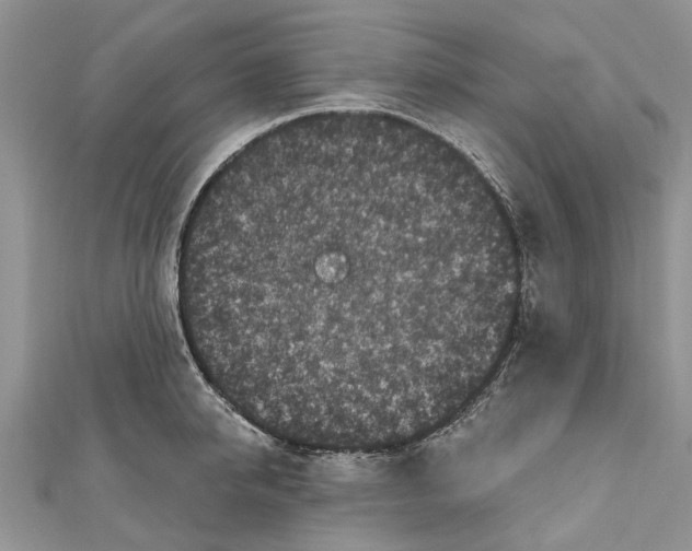 X0000111000950200907171810