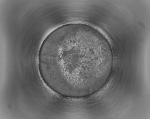 X0000111000951200907171810