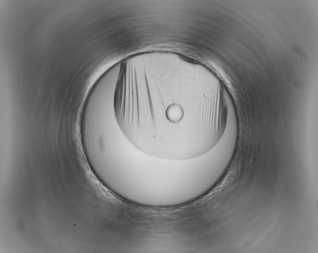 X0000111000952200907171810