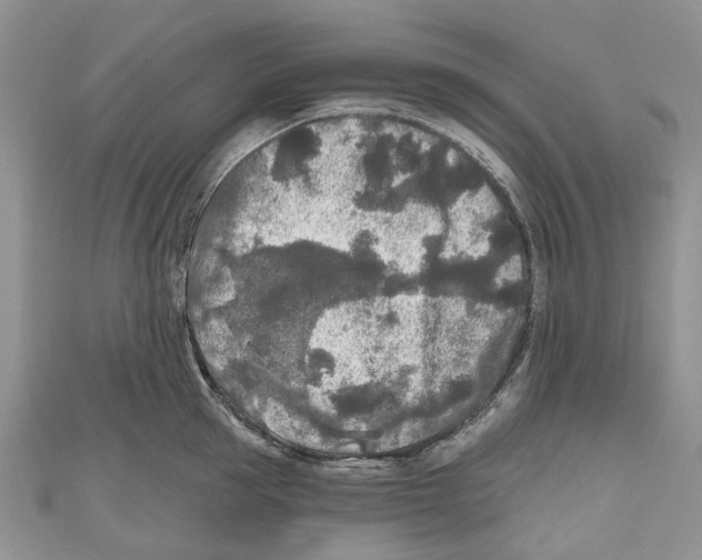 X0000111000953200907171810