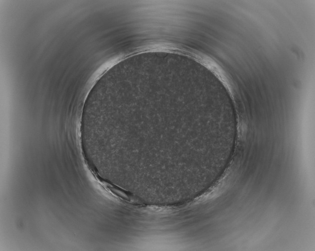 X0000111000954200907171810