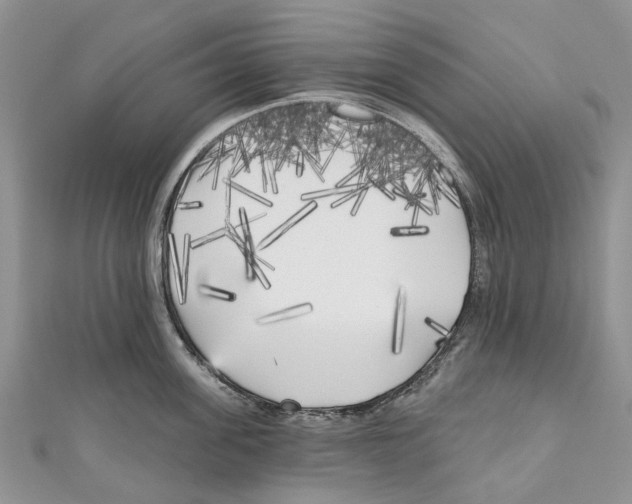 X0000111000955200907171810