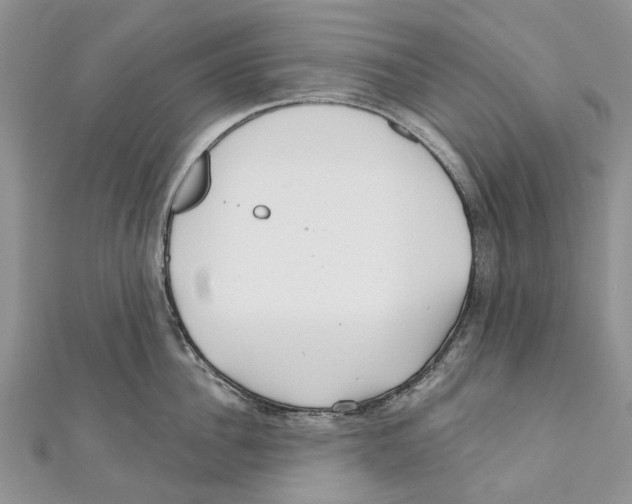 X0000111000956200907171810